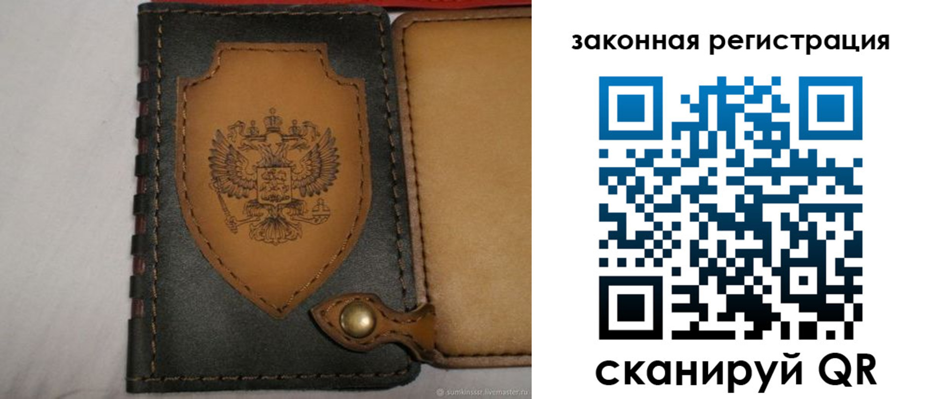 прописка для школы в Мурманске